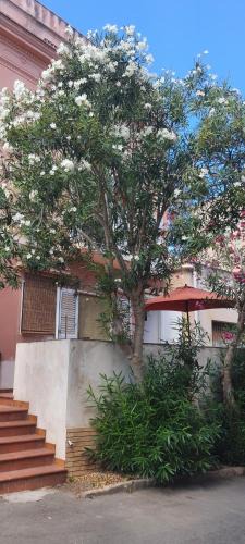 Ustica Apartment | A 2 passi dalla piazza