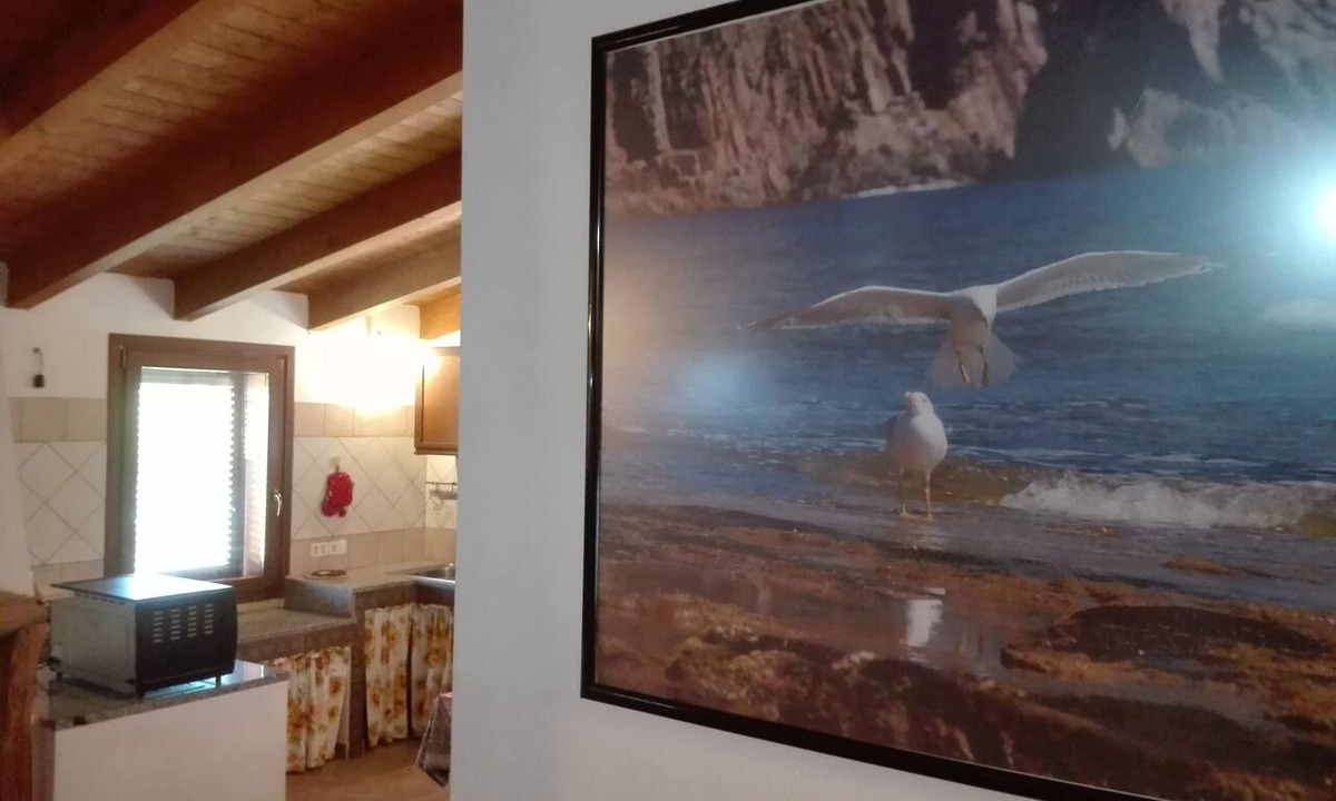 Gonnesa Apartment | A Relaxing Oasis in Sulcis: A Panoramic Apartment for Nature and Animal Lovers*