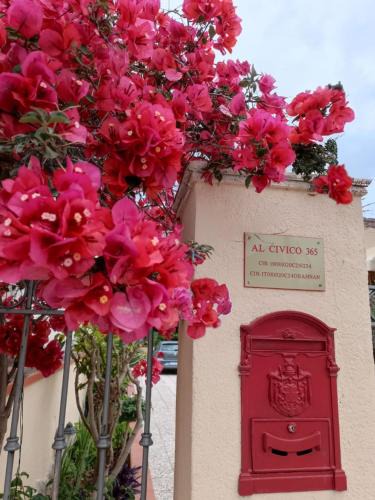 Castelluzzo House | Al Civico 365