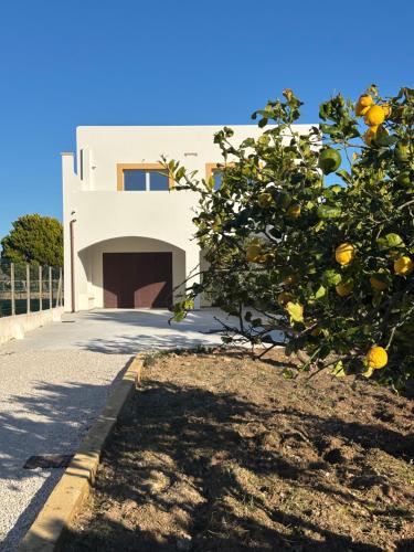 Birgi Vecchi Apartment | Al Malaseno - Stagnone Apartments