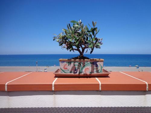 Marchesana Apartment | Apartment Charmante Wohnung in Marchesana mit Terrasse by Interhome