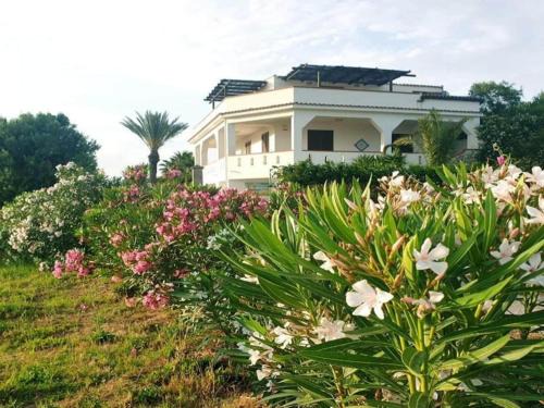 Marinella di Selinunte Apartment | Apartment in Sicily near La Pineta Beach