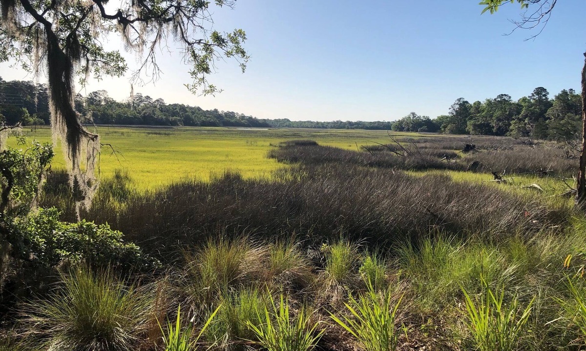 Valona House | At Harris Neck & Shellman Bluff 0.5mi. Bird Nest Your perfect Nest & Marsh View