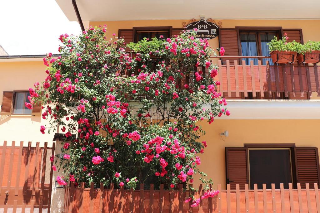 Massa d'Albe Bed & Breakfast | B&B A Casa di Nonna