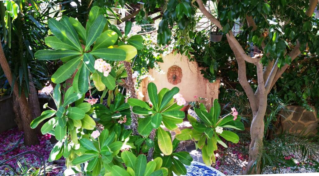 Capo d'Orlando Bed & Breakfast | B&B Le Terrazze