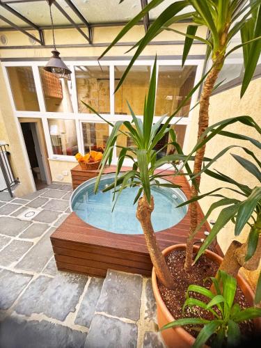 Palermo Apartment | Basso 61 Urban Oasis with Private Mini Pool & Courtyard - Families & Groups