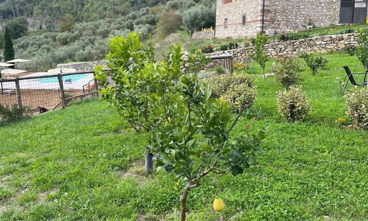 Barberino di Mugello House | Beautiful apartment for 4 people with pool, A/C, WIFI and veranda