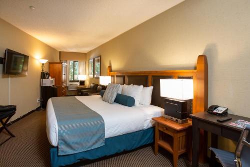 Whistler Village Hotel | Blackcomb Lodge