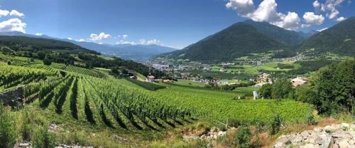 Naz Sciaves House | BUEHLERHOF Urlaub mit Kind & Hund, Obst-& Weingut, Brixen
