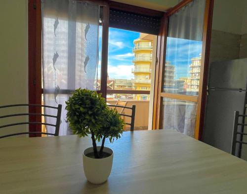 Nettuno Apartment | CAMI MARE BLU Apartment - Steps from the Sea 50mt & Train and Bus Station