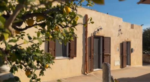 Nubia House | Cantunera Barbára