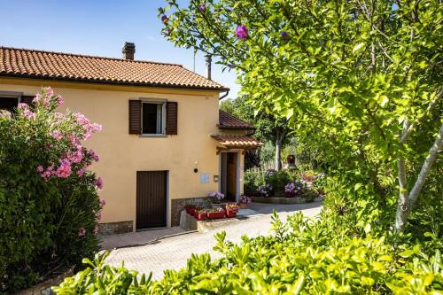 Chianni House | Casa Damiano