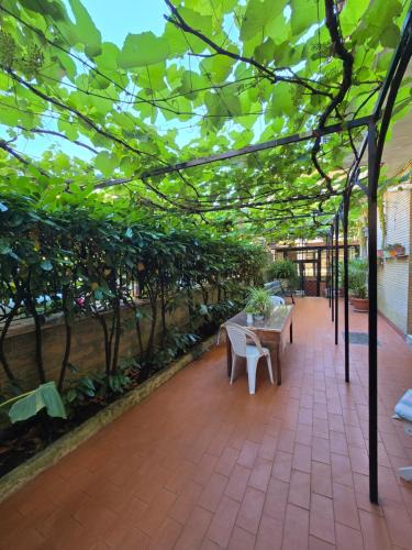 Suburbio XI della Vittoria Apartment | Casa ELLA