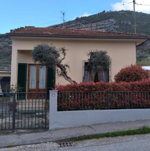 Monsummano Terme House | Casa Tesi