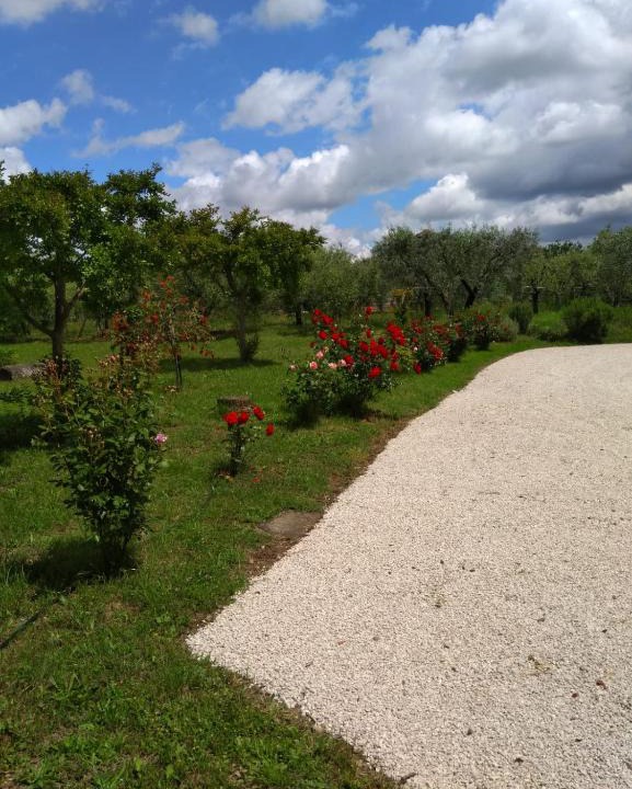 Ariccia House | Casa Vacanze Le Rose