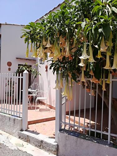 Trabia House | Casa Vacanze Rubino