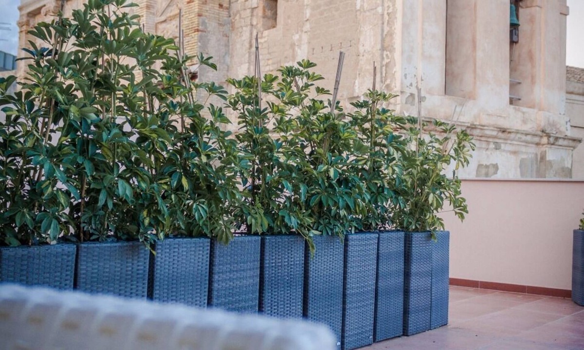 Licata House | Case Vacanze al Duomo