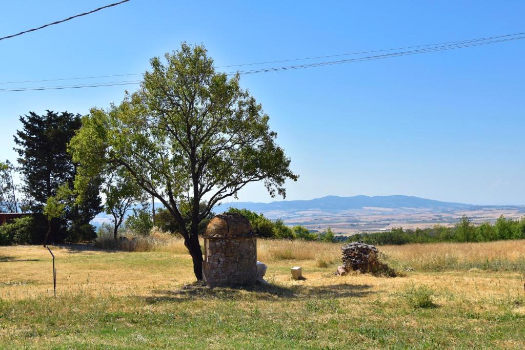 Castellina Marittima House | Casina della Felicità