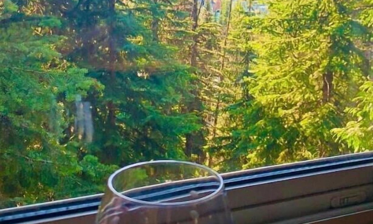 Silver Star Mountain Ski Chalet | Central Station - perfectly located for Winter games and Summer fun.