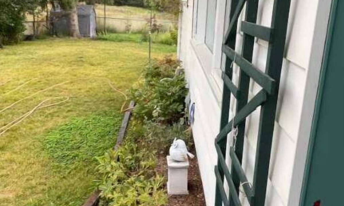 Cranbrook Apartment | Charming 2 bedroom home.🏔