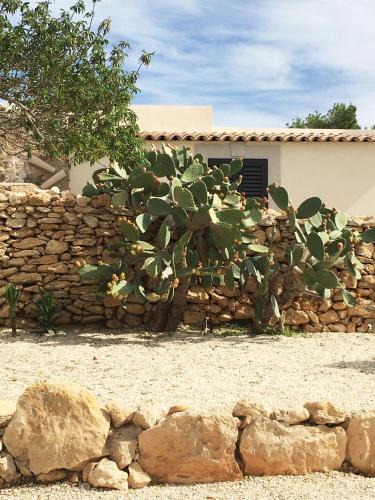 Lampedusa House | Dimora Spugnara