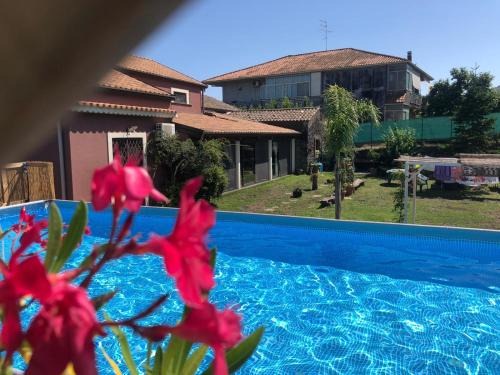 Zafferana Etnea Bed & Breakfast | Etnante