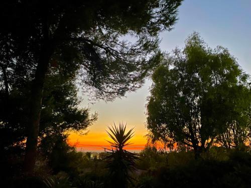 Marsala Bed & Breakfast | Giardinello Stagnone Sunset