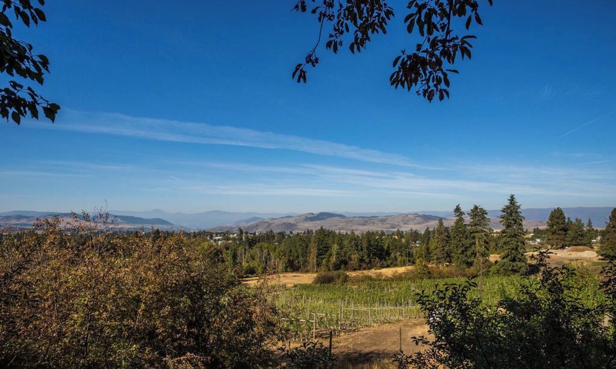 Vernon Apartment | Hidden Rose suite overlooking North Okanagan