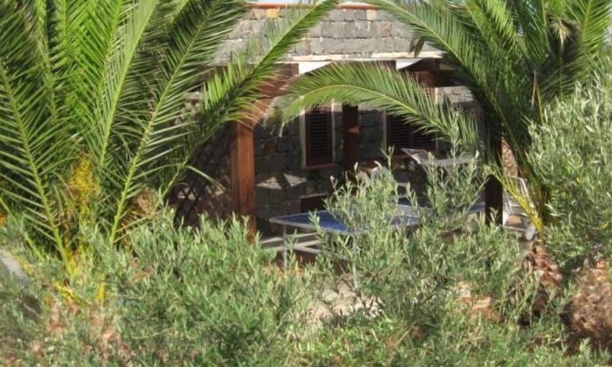 Ustica House | Hose of the palm trees, 5000 sq.m of garden, and there is a vegetable garden ava