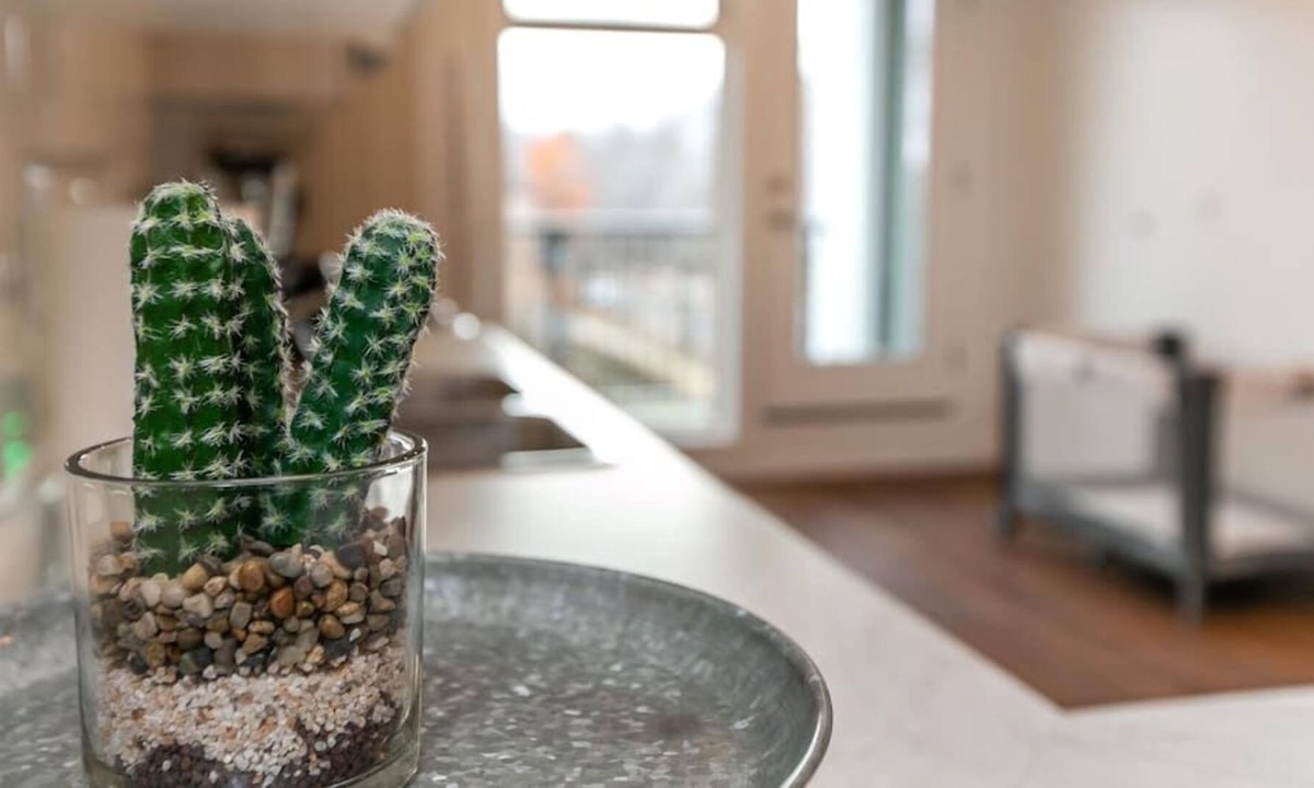 North Central Edmonton Condo | ✦Industrial Romantic✦ U/G Parking ✔5 min ❤ of DTN!
