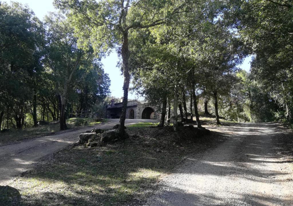 Massa Marittima Apartment | La Casina