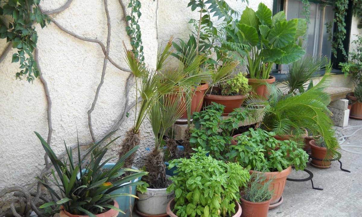 Sambuca di Sicilia Bed & Breakfast | La Regina di Adrano