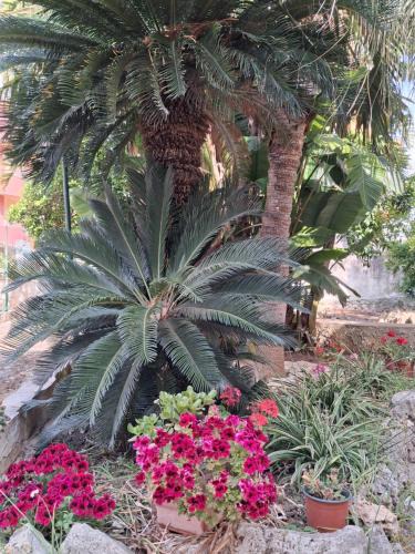 Alcamo House | La Rugiada-con giardino e parcheggio moto privato