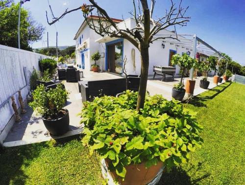 San Felice Circeo Bed & Breakfast | La Vigna Di Circe