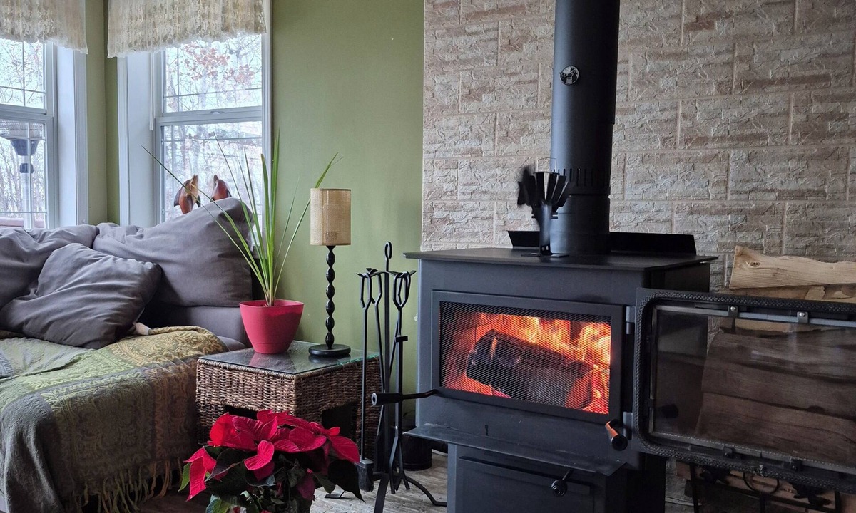 Division No. 7 Cabin | Lakefront Cabin Pet Friendly. fire pit, fire table, wood stove, 2 kayaks/CANOE