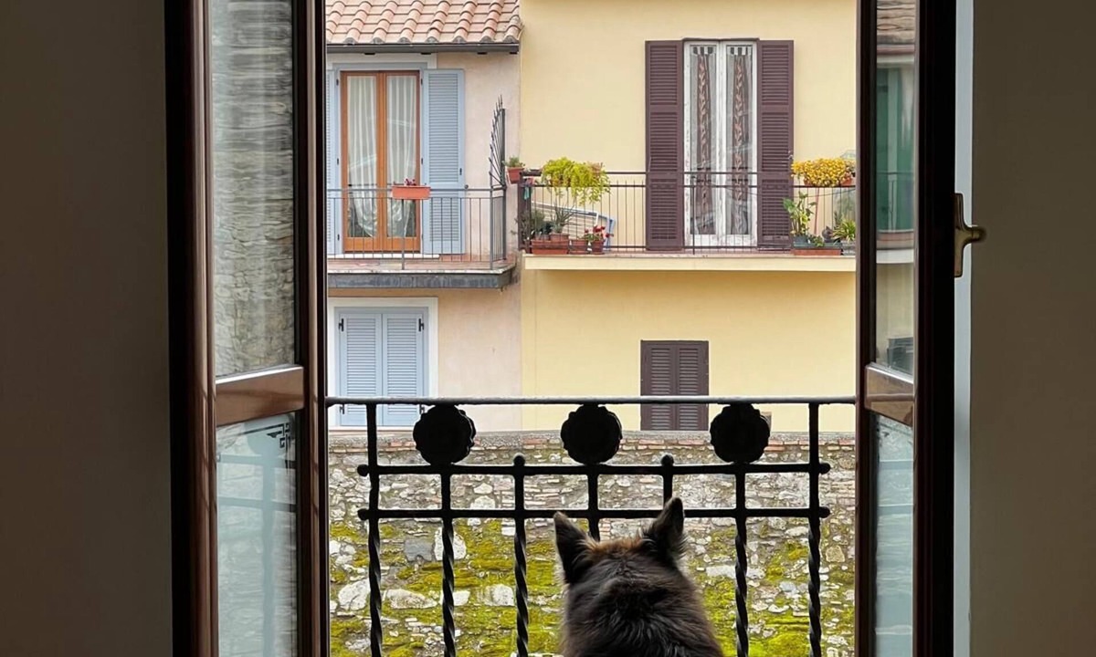Nettuno Apartment | Large central apartment within walking distance from the sea