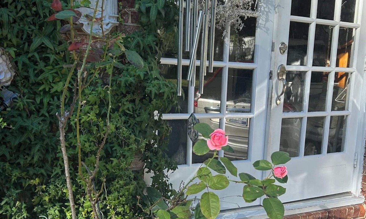 Jackson House | Master Week/Quiet Street/Private Backyard Retreat/20 min to golf course