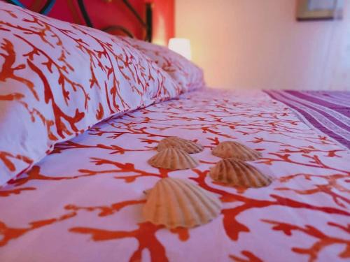 Lampedusa Apartment | Mediterraneo Appartaments