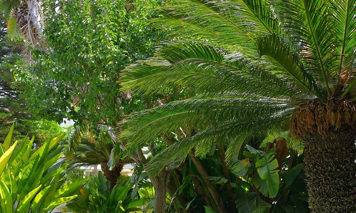 Mondello Bed & Breakfast | Mondello Resort