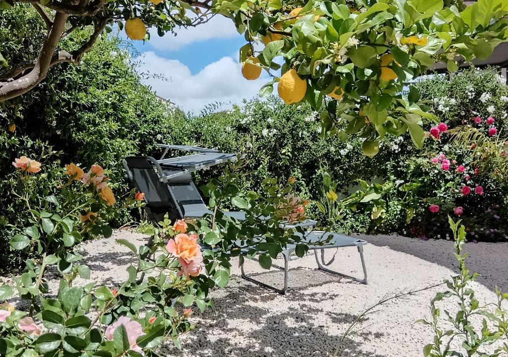 Salemi Apartment | My Sicily Home - Casa con giardino a Salemi