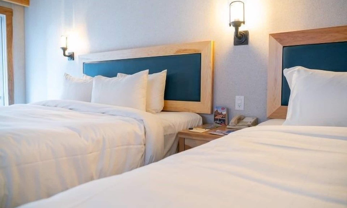 Banff Apartment | Newly Renovated, Bright Suite on Tunnel Mountain!