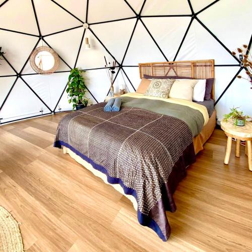 Cootharaba Other | Noosa Water Element Dome - Breathtaking Views