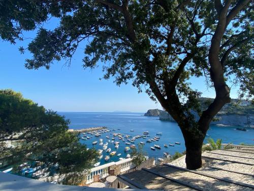 Le Forna Apartment | Oasi del Mare Pinna Nobilis