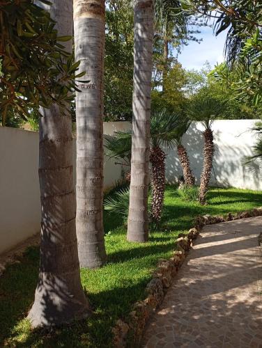 Mazara del Vallo Villa | Oasi vacanza