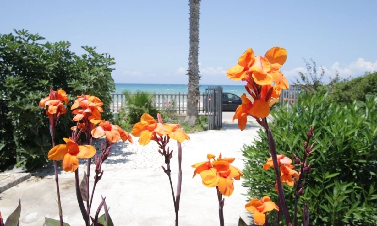 Solfarelli Villa | Only 20 METERS from the BEACH! Walking