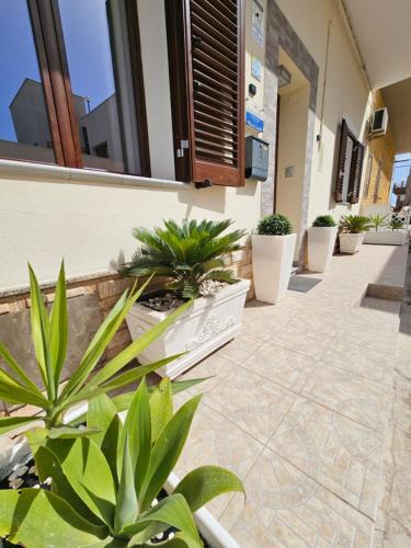 Lampedusa House | Perla del Sud - Guest House