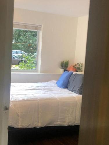 Kitsilano House | Quiet-comfy 3 bedroom house on a tree lined street in Kitsilano