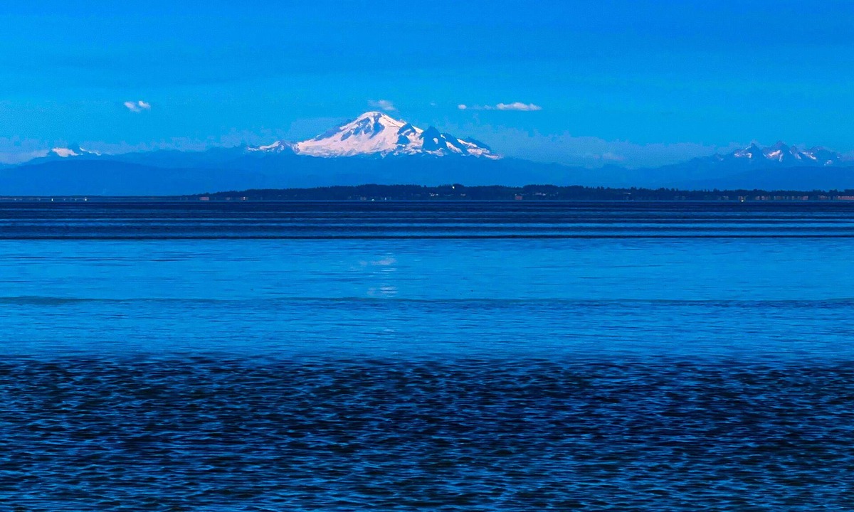 Tsawwassen House | Sauna, Steam, Beach, Indoor & Outdoor Fireplace, Golf, Squash& Shop