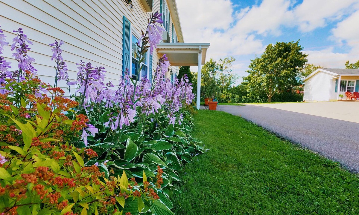 Charlottetown Hotel | Sherwood Inn and Motel