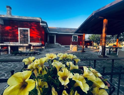 Scurcola Marsicana Bed & Breakfast | Sole e Luna Affittacamere